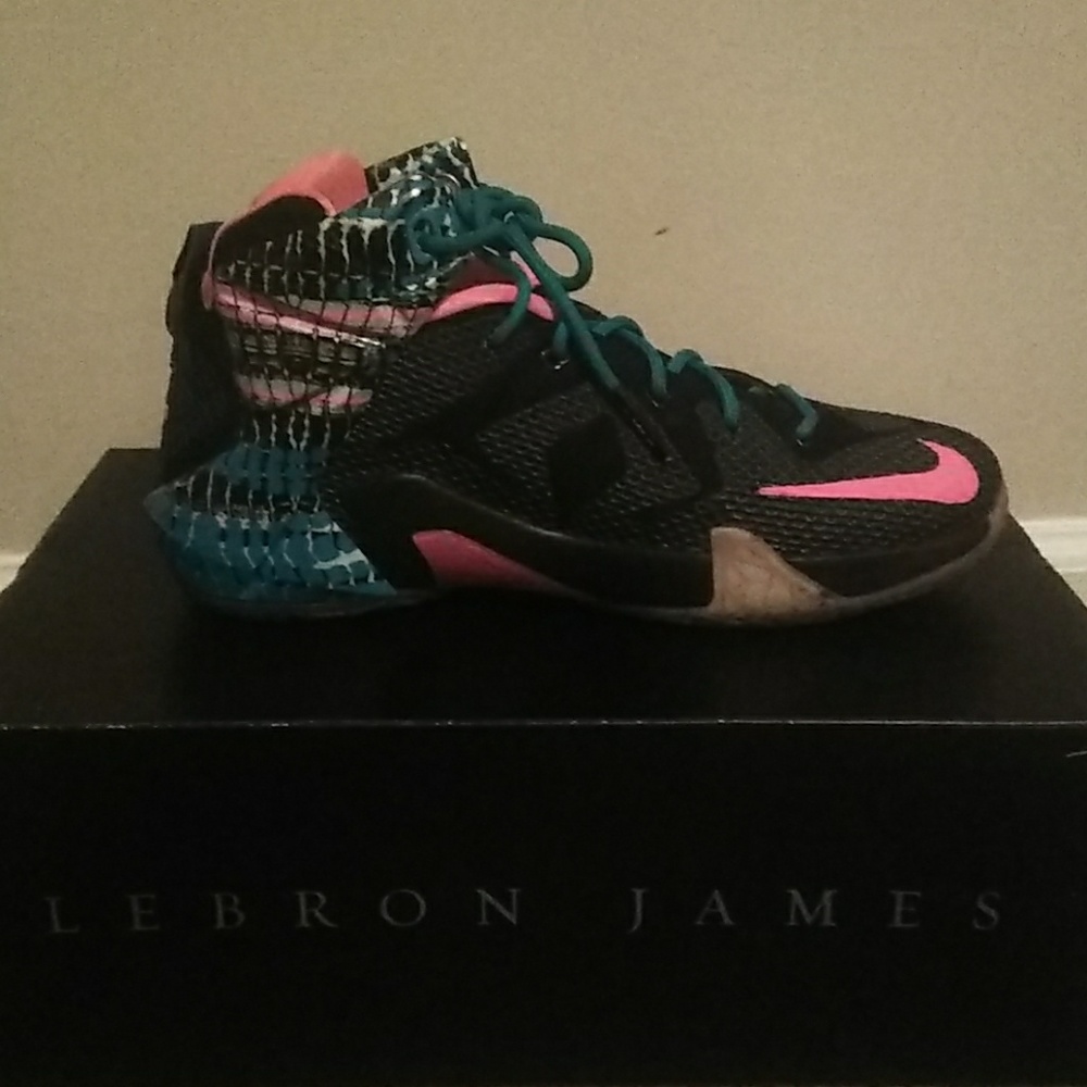 Nike LeBron James Sneakers